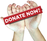 donate_now